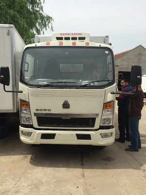 El anuncio publicitario de poca potencia de HOWO acarrea el congelador de refrigerador Van Box Truck para la carne