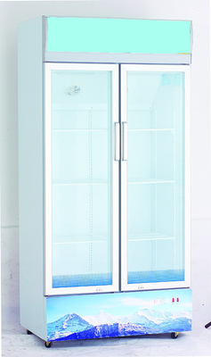 Congelador de refrigerador comercial grande manual de la puerta doble R134a/125g, 430 L