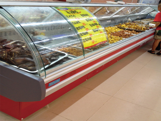 El supermercado del helado proyecta los equipos de Frige para las frutas/carne