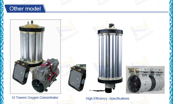 Mpa del generador 0,1 del oxígeno del PSA con 12 tamiz molecular y compresor de aire