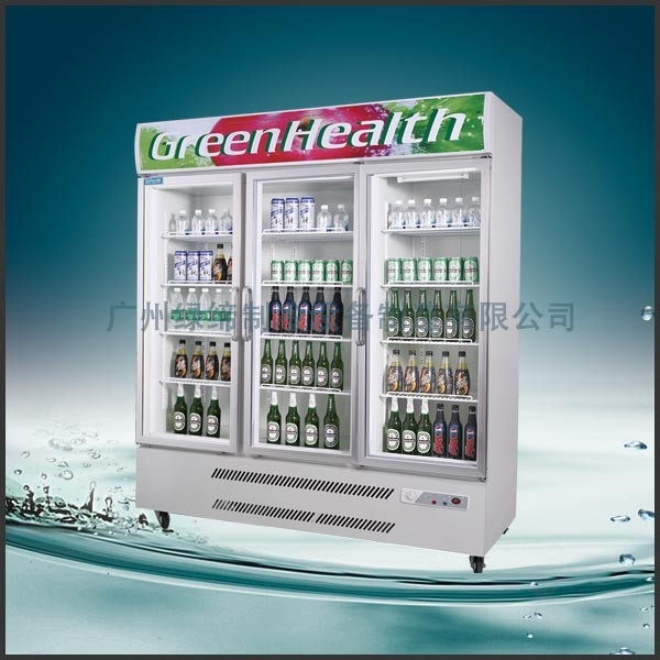 Del acero puertas comerciales inoxidables del compresor -25°C 3 de TECUMSEH del congelador de la exhibición verticalmente